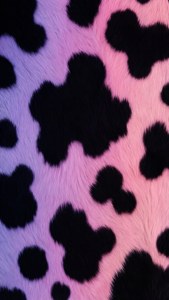 Purple Pink Gradient