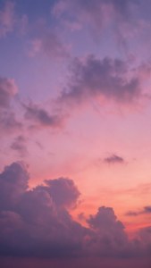 Purple Pink Sunset