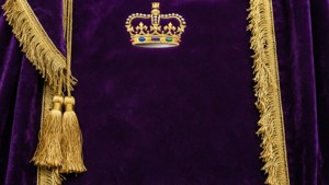 Purple Velvet Crown