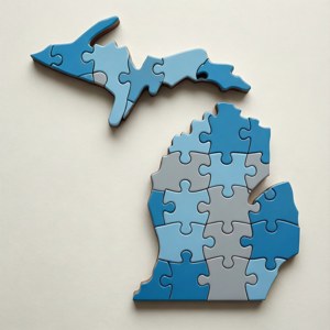 Puzzle Michigan