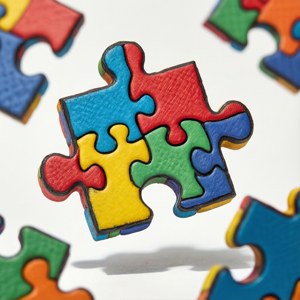 Puzzle Piece Token