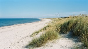 Rømø Beach Dunes