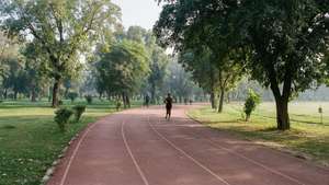 Race Course Park Morning