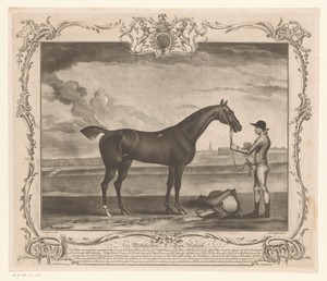 Racepaard met jockey