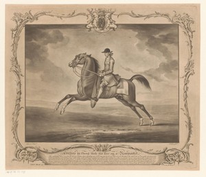 Racepaard met jockey