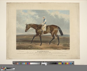 Racing: Bloomsbury, Winner of the Derby Stakes at Epsom 1839