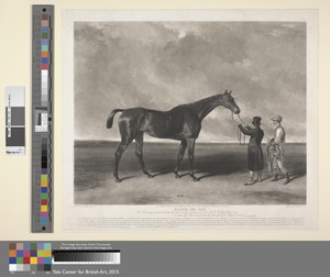 Racing: Fleur-de-Lis