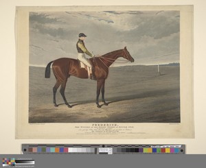 Racing: "Frederick", the Winner of the Derby Stakes at Epsom, 1829
