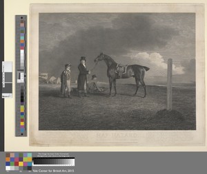 [Racing] Hap-Hazard. The Property of the Rt. Hon. the Earl of Darlington