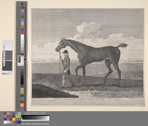 Racing: Sedbury was for the justness of Shape the most Beautiful and ...the Best Horse of His Size at that time