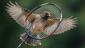 Racket and Bird Double Exposure
