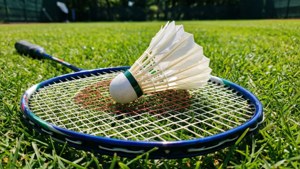 Racket and Shuttlecock on Grass