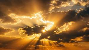 Radiant Golden Rays