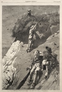Raid on a Sand-Swallow Colony - "How Many Eggs?"