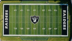 Raiders Field Aerial