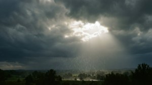 Rain Promise