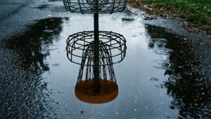 Rain Puddle Reflection