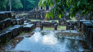 Rain Washed Copan