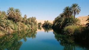 Rainbase Oasis Serenity