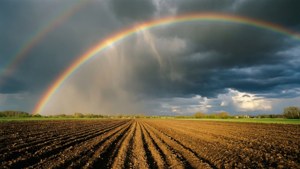 Rainbow After April Rain