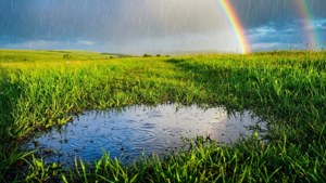 Rainbow After Rain Meadow