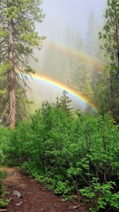 Rainbow at Vernal Fall