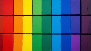 Rainbow Color Blocks