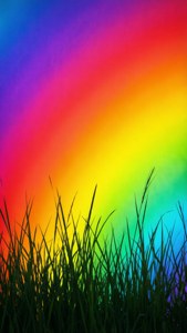 Rainbow Grass Silhouette