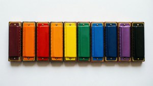 Rainbow Harmonica Set