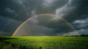Rainbow of Hope
