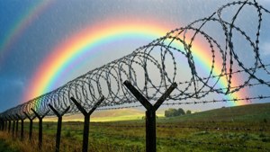Rainbow Over Fence