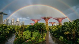 Rainbow Over Gardens