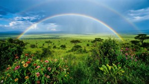 Rainbow Over Mara