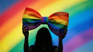 Rainbow Pride Bow