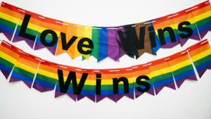Rainbow Pride Love Banner