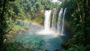 Rainforest Waterfall Rainbow