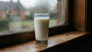Rainy Day Milk