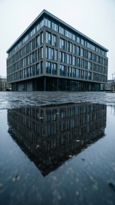 Rainy Day Reflection