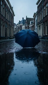 Rainy Day Reflections