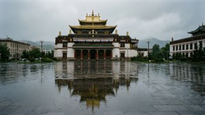 Rainy Day Reflections