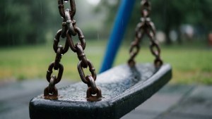 Rainy Detail Swing