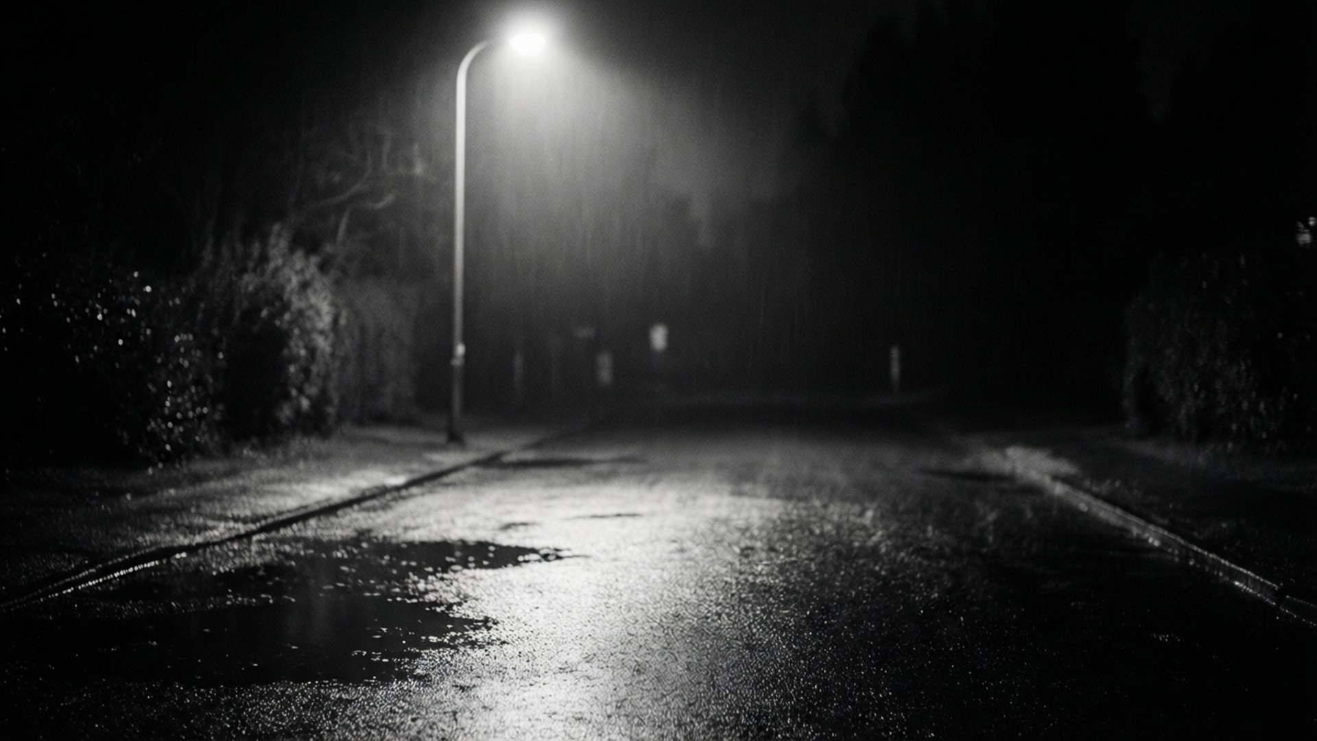 Rainy Emptiness by Wallpapers.art Studio