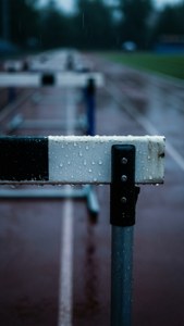 Rainy Hurdle Close-Up