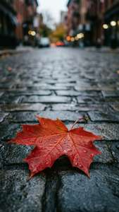 Rainy Leaf on Cobblestone