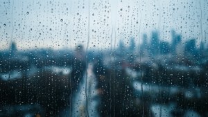 Rainy Morning Window