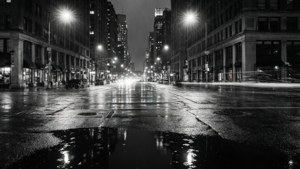 Rainy Night City