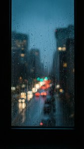 Rainy Night City Lights
