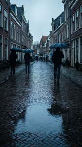 Rainy Purmerend Street