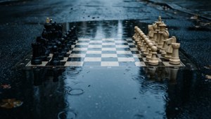 Rainy Reflection