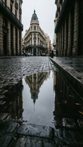 Rainy Reflection